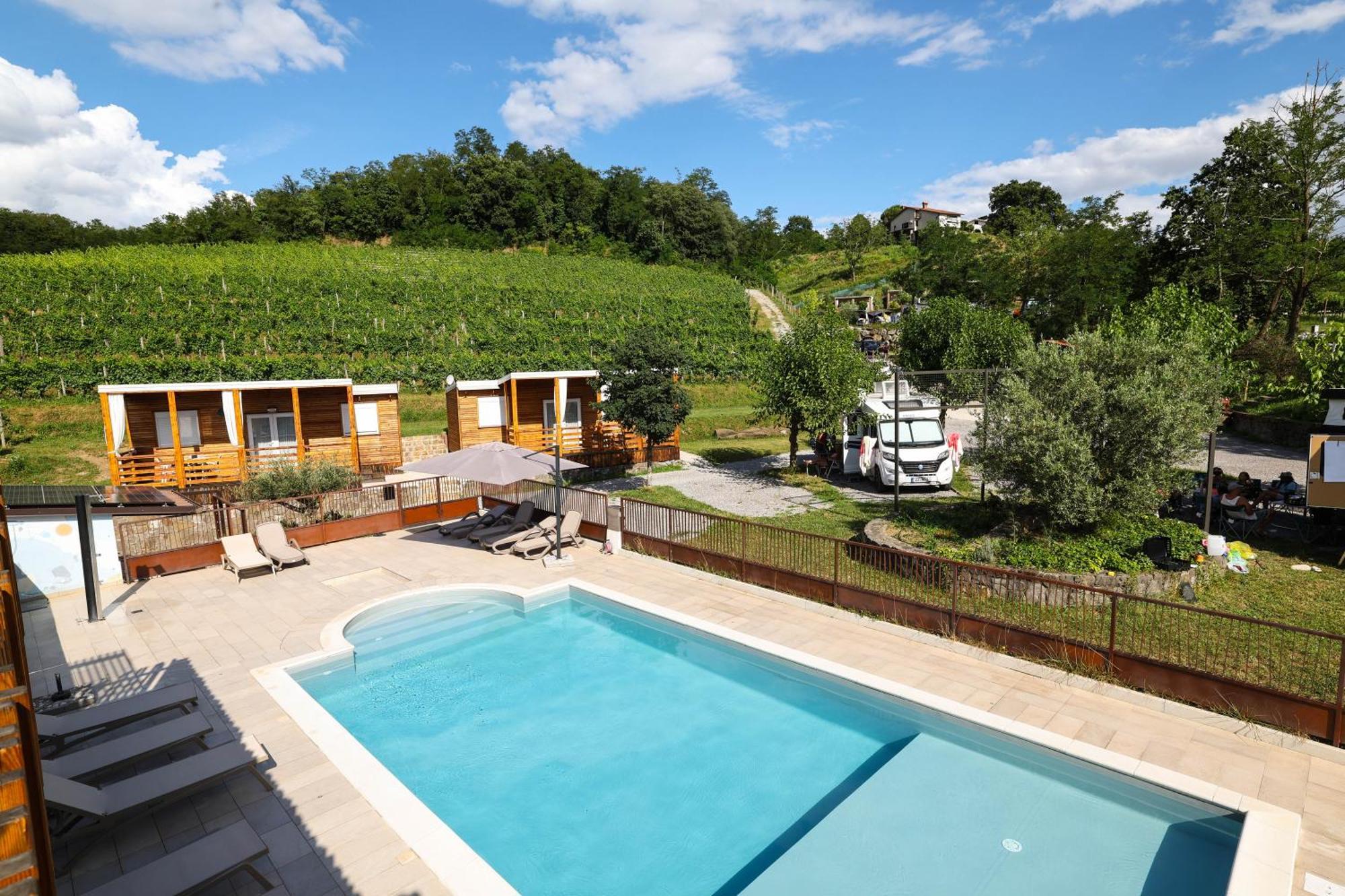 Saksida Holiday Park Zalosce Dış mekan fotoğraf
